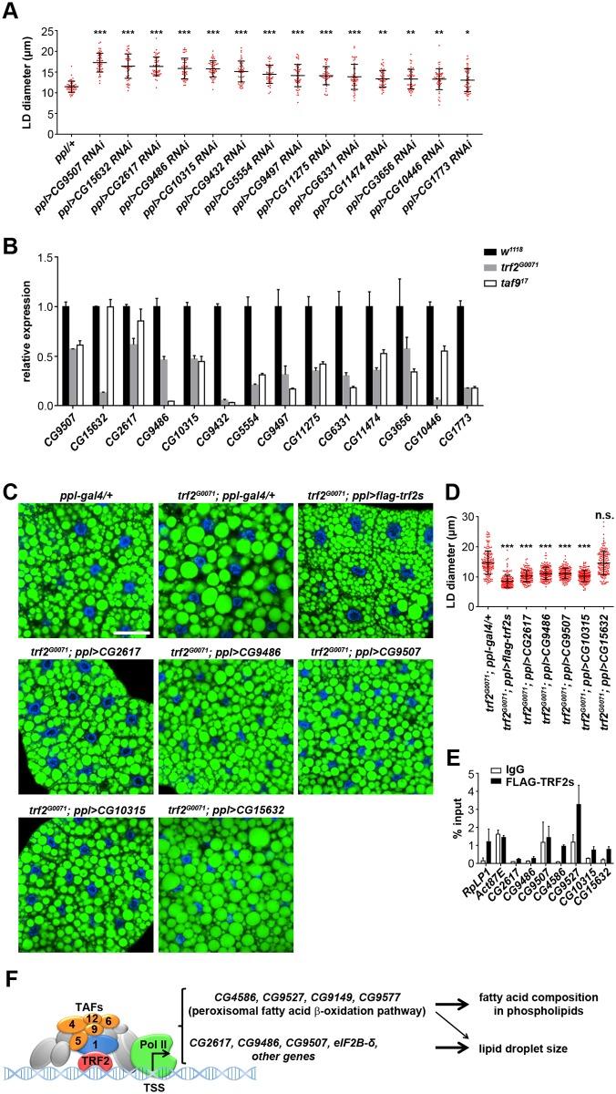 https://cdn.ncbi.nlm.nih.gov/pmc/blobs/baa0/5362240/ee7f9aca4559/pgen.1006664.g007.jpg