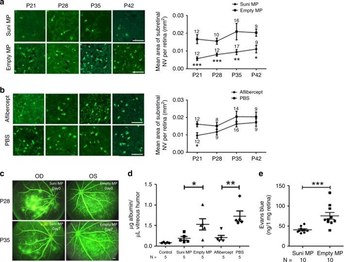 https://cdn.ncbi.nlm.nih.gov/pmc/blobs/baa0/7000758/43e25f404dbe/41467_2020_14340_Fig4_HTML.jpg