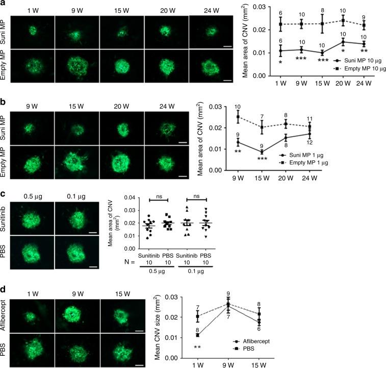 https://cdn.ncbi.nlm.nih.gov/pmc/blobs/baa0/7000758/4edb3cef05df/41467_2020_14340_Fig2_HTML.jpg