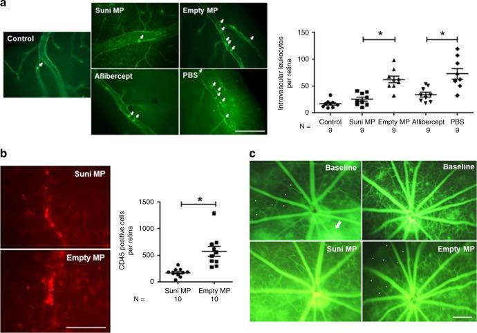 https://cdn.ncbi.nlm.nih.gov/pmc/blobs/baa0/7000758/6d3aa60033a6/41467_2020_14340_Fig6_HTML.jpg