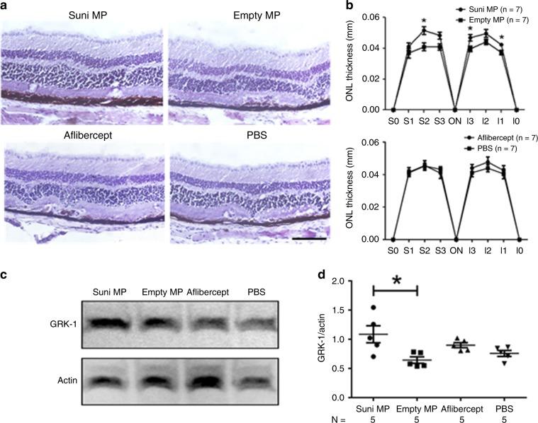 https://cdn.ncbi.nlm.nih.gov/pmc/blobs/baa0/7000758/da9da7bf9399/41467_2020_14340_Fig5_HTML.jpg