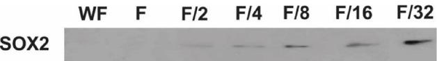 https://cdn.ncbi.nlm.nih.gov/pmc/blobs/baa1/10676545/c202cb82b9e8/apb-13-806-g002.jpg