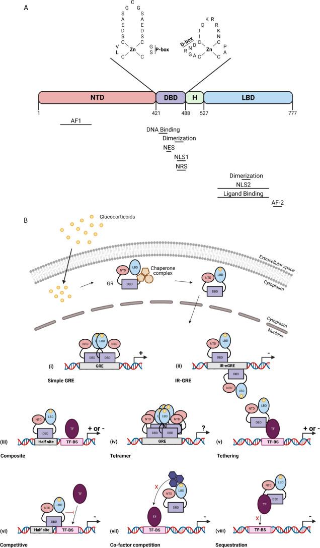 https://cdn.ncbi.nlm.nih.gov/pmc/blobs/baa1/8211996/9863498cadff/fimmu-12-684085-g002.jpg