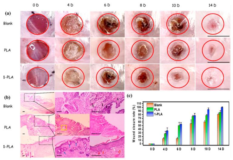 https://cdn.ncbi.nlm.nih.gov/pmc/blobs/baa2/10385409/cc1ba7b75bd2/pharmaceutics-15-01964-g005.jpg