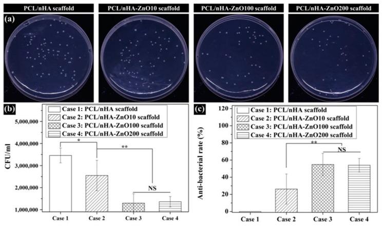 https://cdn.ncbi.nlm.nih.gov/pmc/blobs/baa2/10385409/e0c311ac96b2/pharmaceutics-15-01964-g015.jpg