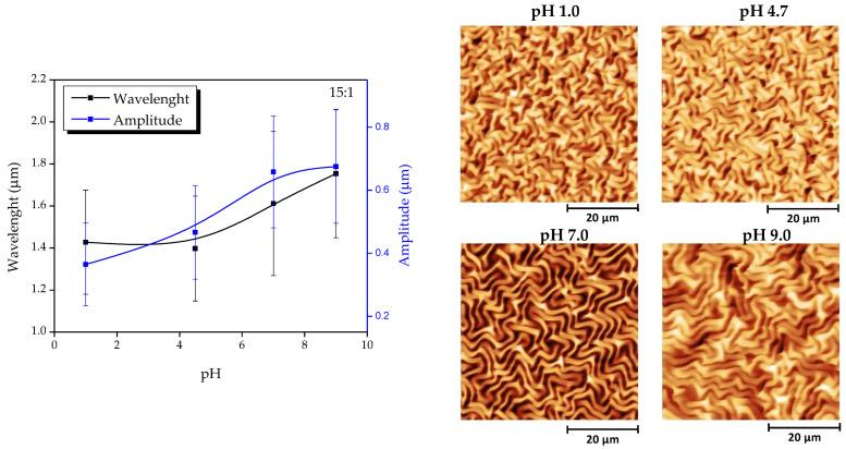 https://cdn.ncbi.nlm.nih.gov/pmc/blobs/baa2/8659726/ddba84f1b6ea/polymers-13-04262-g008.jpg