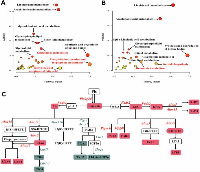 https://cdn.ncbi.nlm.nih.gov/pmc/blobs/baa3/12361481/1895ad1b02ea/41538_2025_546_Fig5_HTML.jpg