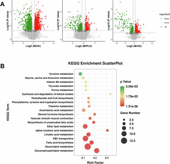 https://cdn.ncbi.nlm.nih.gov/pmc/blobs/baa3/12361481/261a9be94528/41538_2025_546_Fig3_HTML.jpg