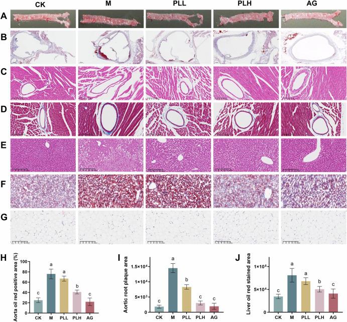https://cdn.ncbi.nlm.nih.gov/pmc/blobs/baa3/12361481/a2b81ae46b50/41538_2025_546_Fig2_HTML.jpg