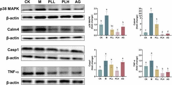 https://cdn.ncbi.nlm.nih.gov/pmc/blobs/baa3/12361481/d87e12983361/41538_2025_546_Fig6_HTML.jpg