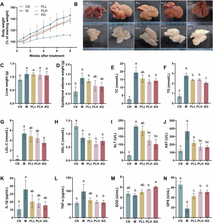 https://cdn.ncbi.nlm.nih.gov/pmc/blobs/baa3/12361481/f7c48cc485e4/41538_2025_546_Fig1_HTML.jpg