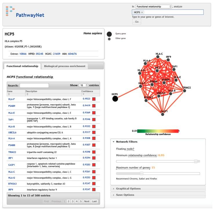 https://cdn.ncbi.nlm.nih.gov/pmc/blobs/baa3/6562477/00e5c214e30e/cells-08-00480-g005.jpg
