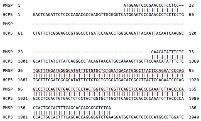 https://cdn.ncbi.nlm.nih.gov/pmc/blobs/baa3/6562477/d7ac378e23af/cells-08-00480-g002.jpg