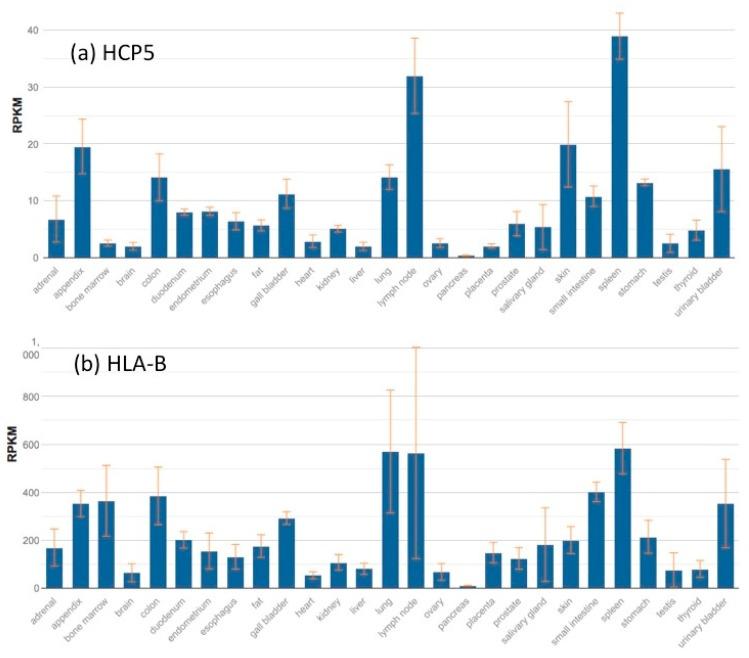 https://cdn.ncbi.nlm.nih.gov/pmc/blobs/baa3/6562477/e580b8519a1d/cells-08-00480-g003.jpg