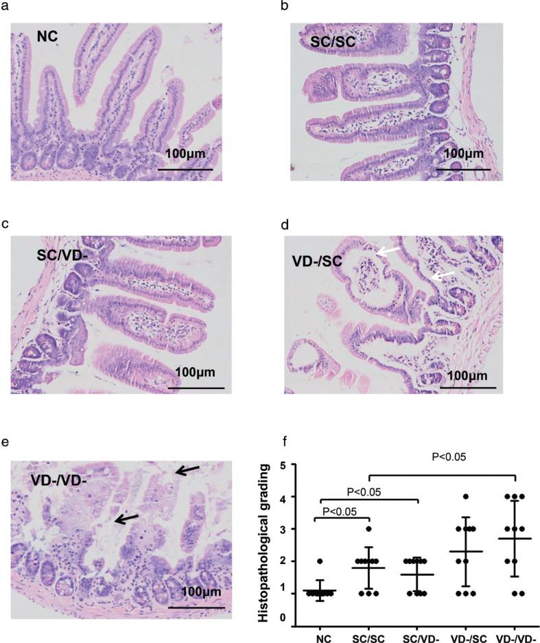 https://cdn.ncbi.nlm.nih.gov/pmc/blobs/baa6/5985744/67a3b8adedbd/FNR-62-1401-g006.jpg