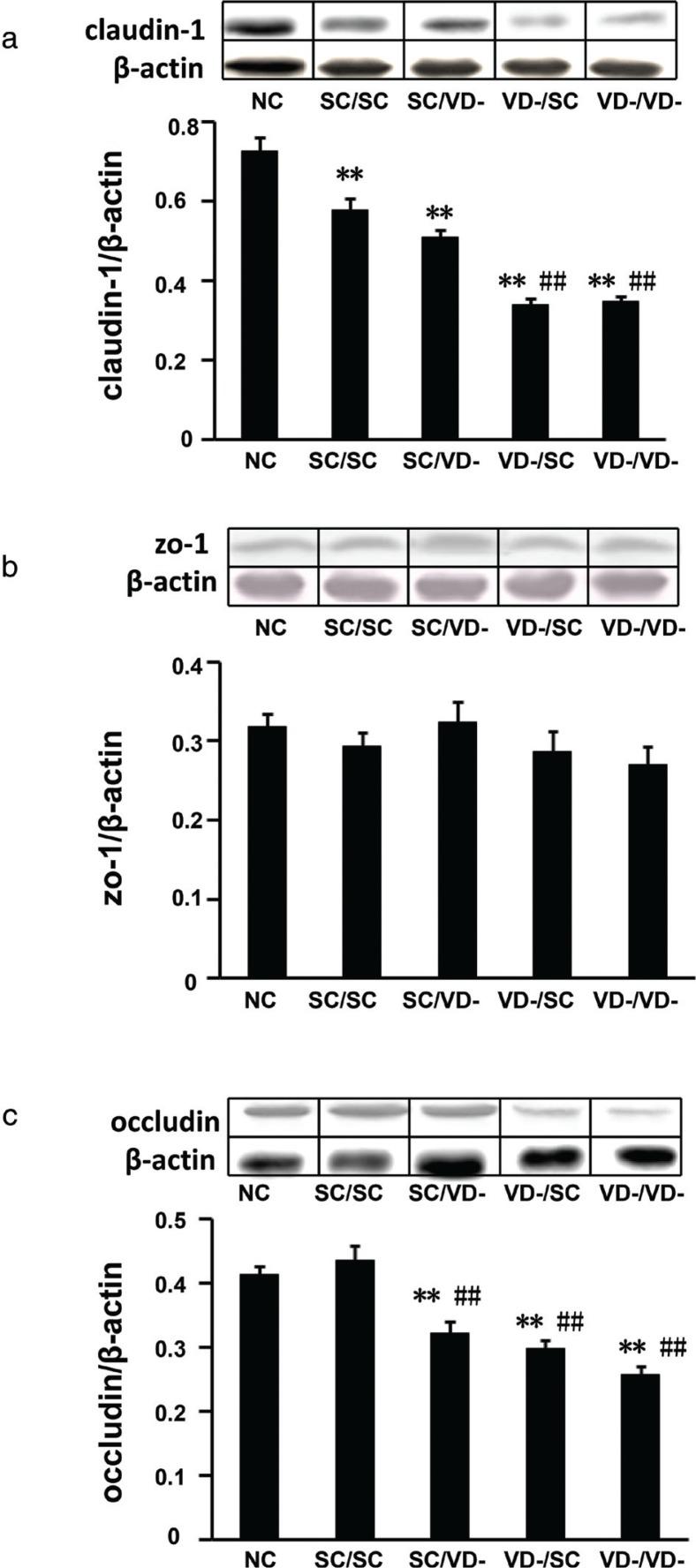 https://cdn.ncbi.nlm.nih.gov/pmc/blobs/baa6/5985744/f113ad7bea1e/FNR-62-1401-g007.jpg