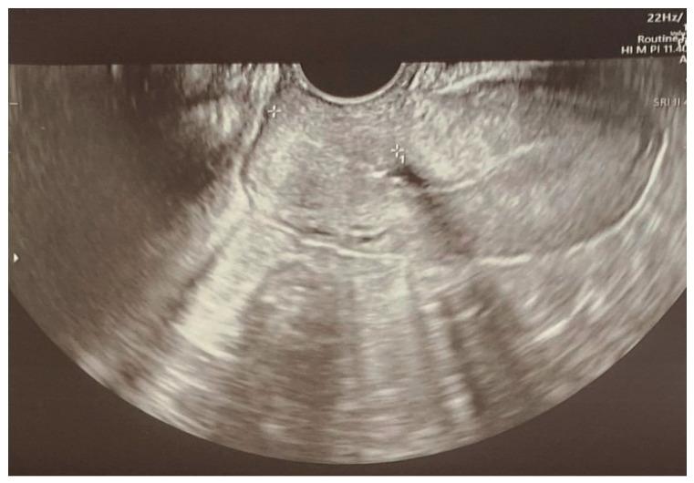 https://cdn.ncbi.nlm.nih.gov/pmc/blobs/baa7/11856242/f2a5e92d1666/jcm-14-01361-g005.jpg