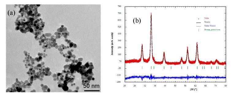 https://cdn.ncbi.nlm.nih.gov/pmc/blobs/baa7/6473954/ba7ca73a2ca5/nanomaterials-09-00356-g001.jpg