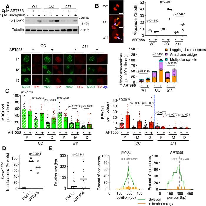 https://cdn.ncbi.nlm.nih.gov/pmc/blobs/baa8/10673838/697873ebec7b/41467_2023_43446_Fig5_HTML.jpg