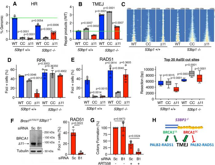 https://cdn.ncbi.nlm.nih.gov/pmc/blobs/baa8/10673838/9ec770998ea9/41467_2023_43446_Fig4_HTML.jpg
