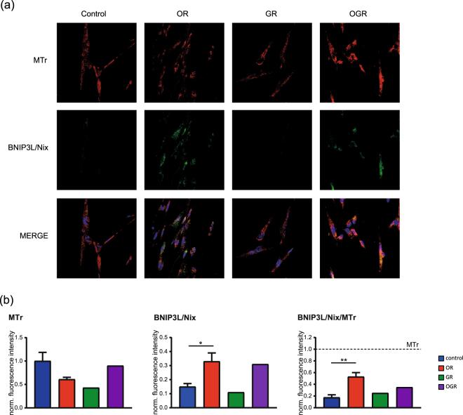 https://cdn.ncbi.nlm.nih.gov/pmc/blobs/baad/5799166/53dc1dce0997/41598_2018_19421_Fig5_HTML.jpg