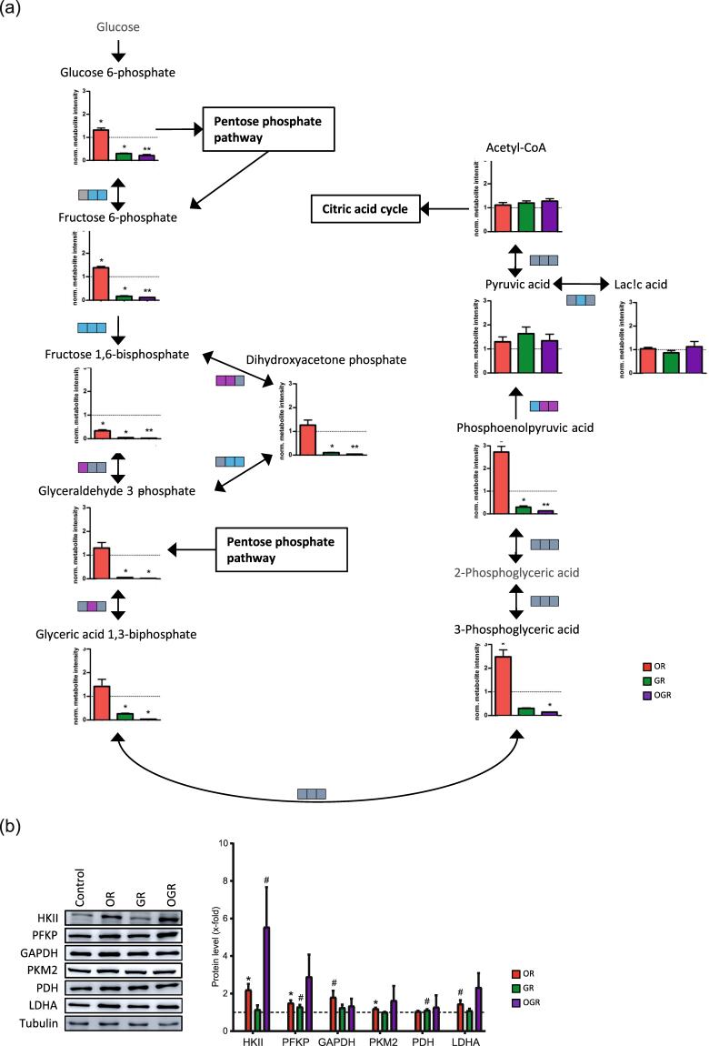 https://cdn.ncbi.nlm.nih.gov/pmc/blobs/baad/5799166/95fc2a501c5f/41598_2018_19421_Fig2_HTML.jpg