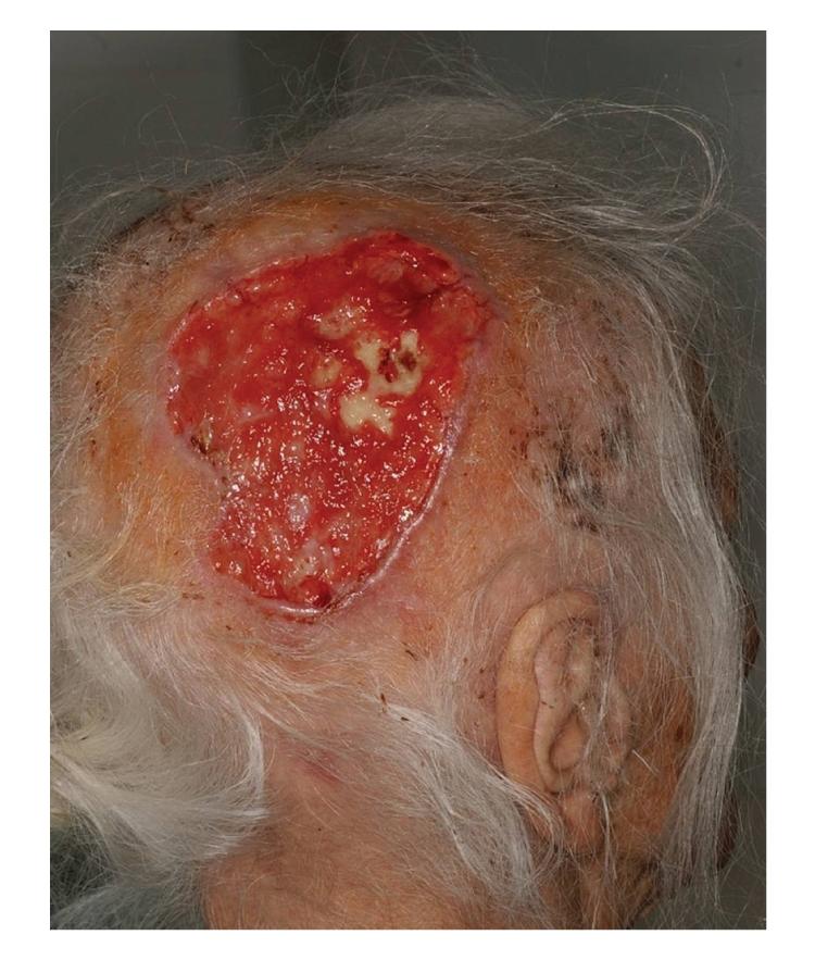https://cdn.ncbi.nlm.nih.gov/pmc/blobs/baae/2993023/92c9608e0342/JSC2011-392151.004.jpg