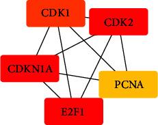 https://cdn.ncbi.nlm.nih.gov/pmc/blobs/baaf/9950321/ee47a5c176dd/ECAM2023-2827938.005.jpg