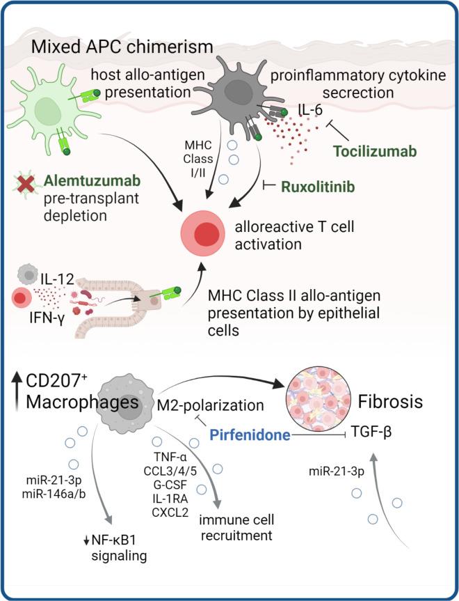 https://cdn.ncbi.nlm.nih.gov/pmc/blobs/bab0/10332803/a1d0d3b2c301/fimmu-14-1199422-g004.jpg