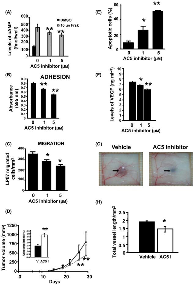 https://cdn.ncbi.nlm.nih.gov/pmc/blobs/bab0/4326878/a33b95219fd6/acel0013-0102-f4.jpg