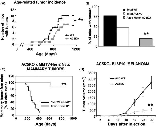 https://cdn.ncbi.nlm.nih.gov/pmc/blobs/bab0/4326878/baafe3891778/acel0013-0102-f1.jpg