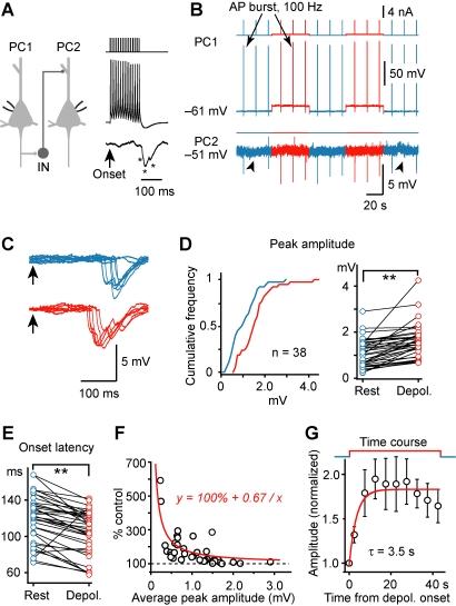 https://cdn.ncbi.nlm.nih.gov/pmc/blobs/bab2/3062529/07d28c7d3049/pbio.1001032.g001.jpg