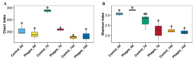 https://cdn.ncbi.nlm.nih.gov/pmc/blobs/bab4/12195502/0273bb384896/microorganisms-13-01273-g005.jpg