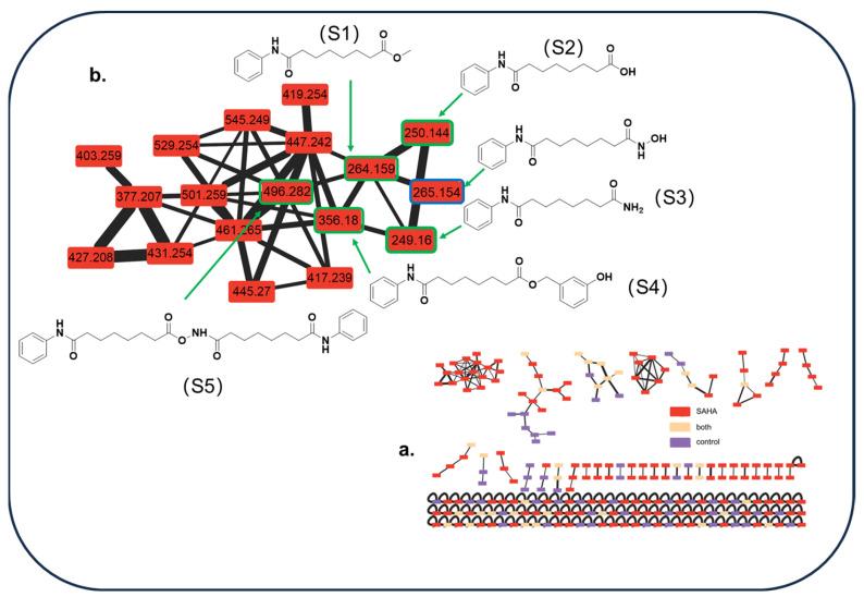 https://cdn.ncbi.nlm.nih.gov/pmc/blobs/bab5/10856041/2650d0853741/molecules-29-00670-g009.jpg