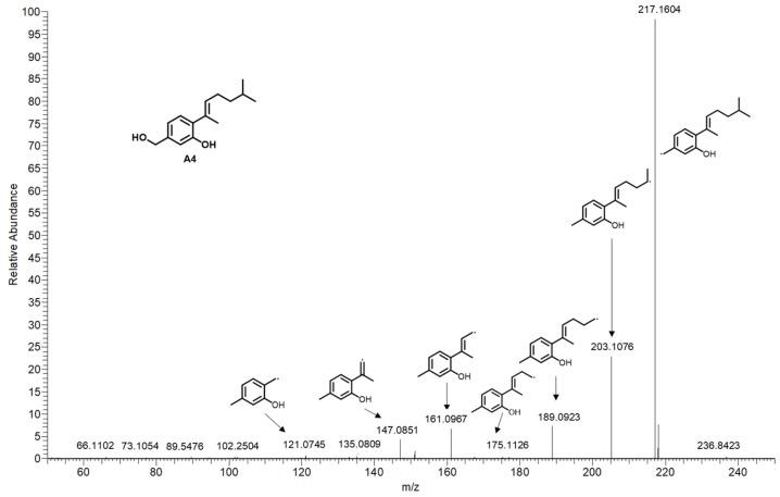 https://cdn.ncbi.nlm.nih.gov/pmc/blobs/bab5/10856041/c8b89fe90585/molecules-29-00670-g004.jpg