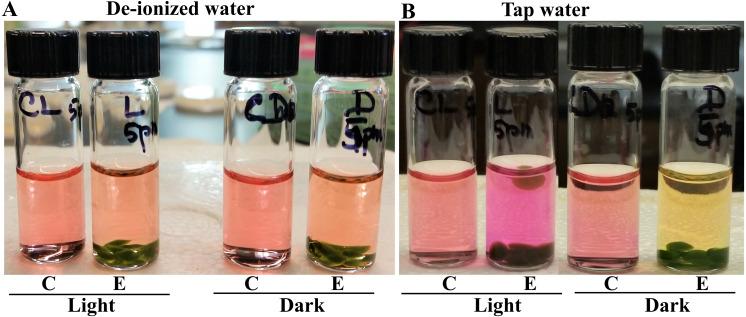 https://cdn.ncbi.nlm.nih.gov/pmc/blobs/bab5/7453928/ec92cd5ab368/peerj-08-9817-g001.jpg