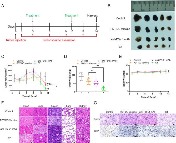 https://cdn.ncbi.nlm.nih.gov/pmc/blobs/bab5/9635135/99866f39c281/12967_2022_3707_Fig4_HTML.jpg