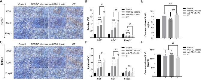 https://cdn.ncbi.nlm.nih.gov/pmc/blobs/bab5/9635135/f409789b1e60/12967_2022_3707_Fig5_HTML.jpg