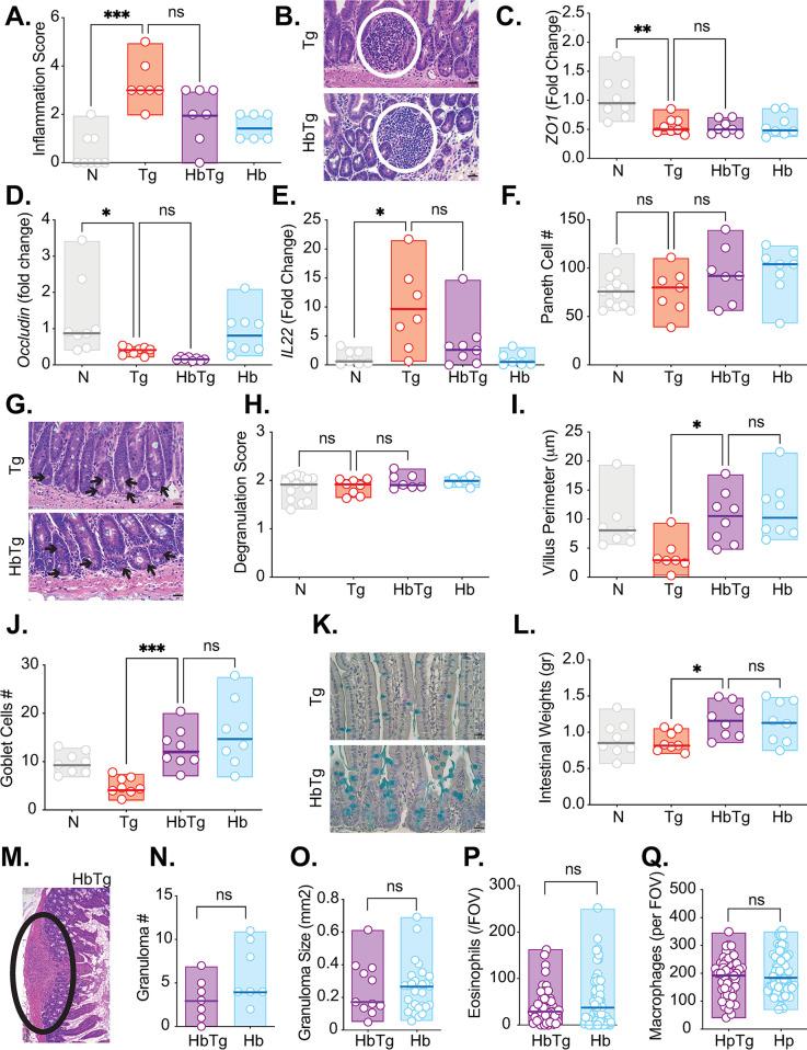 https://cdn.ncbi.nlm.nih.gov/pmc/blobs/bab8/11216590/c05a38c9621d/pone.0292408.g006.jpg