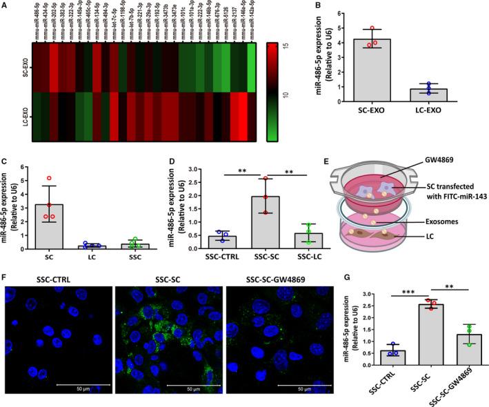 https://cdn.ncbi.nlm.nih.gov/pmc/blobs/bab9/8051706/0bd274230874/JCMM-25-3950-g003.jpg