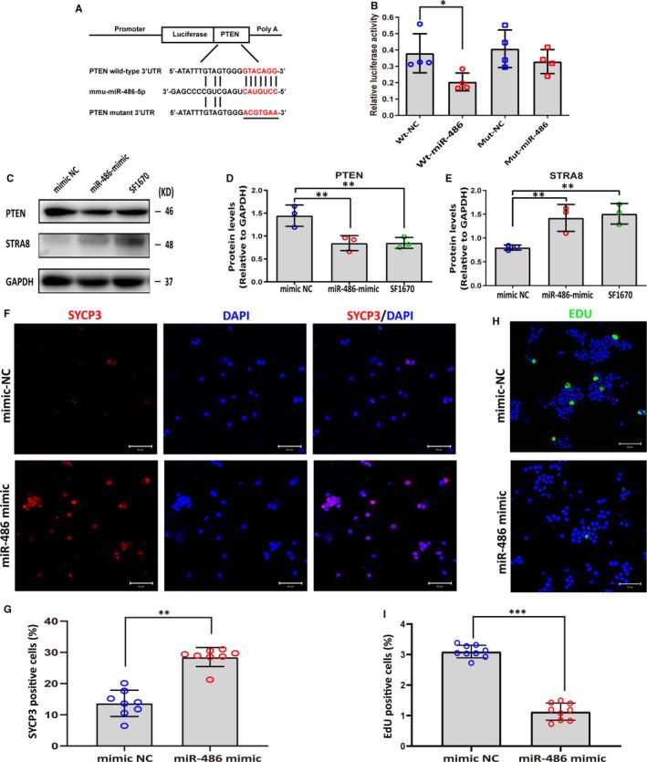https://cdn.ncbi.nlm.nih.gov/pmc/blobs/bab9/8051706/41bf8f43727b/JCMM-25-3950-g007.jpg