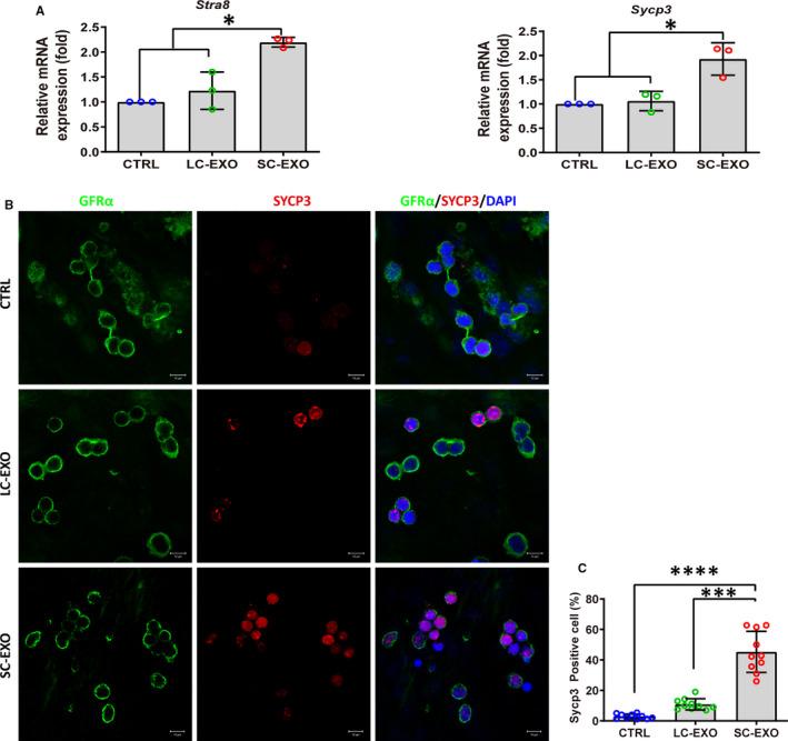 https://cdn.ncbi.nlm.nih.gov/pmc/blobs/bab9/8051706/58ca7fd06c96/JCMM-25-3950-g004.jpg