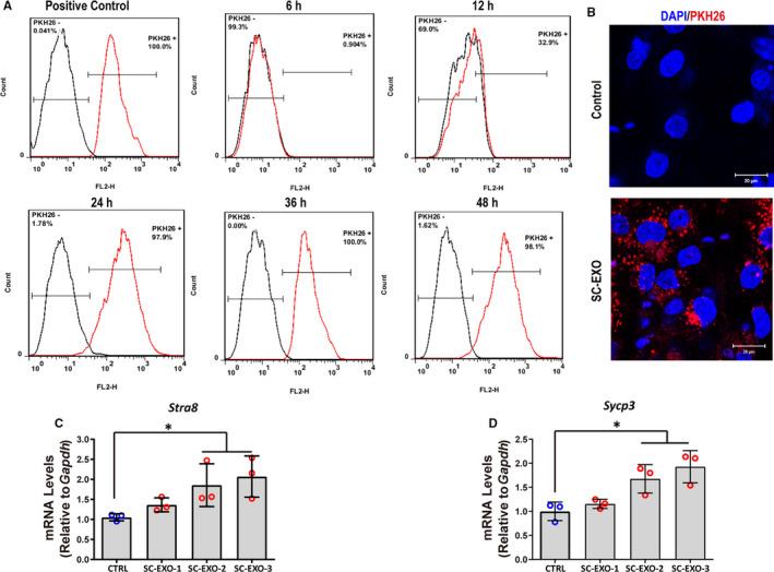 https://cdn.ncbi.nlm.nih.gov/pmc/blobs/bab9/8051706/ca4837411ef8/JCMM-25-3950-g001.jpg