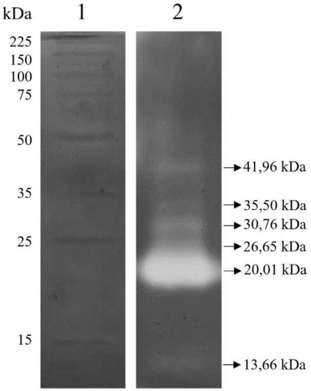 https://cdn.ncbi.nlm.nih.gov/pmc/blobs/bab9/8279889/ef801ab55bcb/bmfh-40-144-g005.jpg