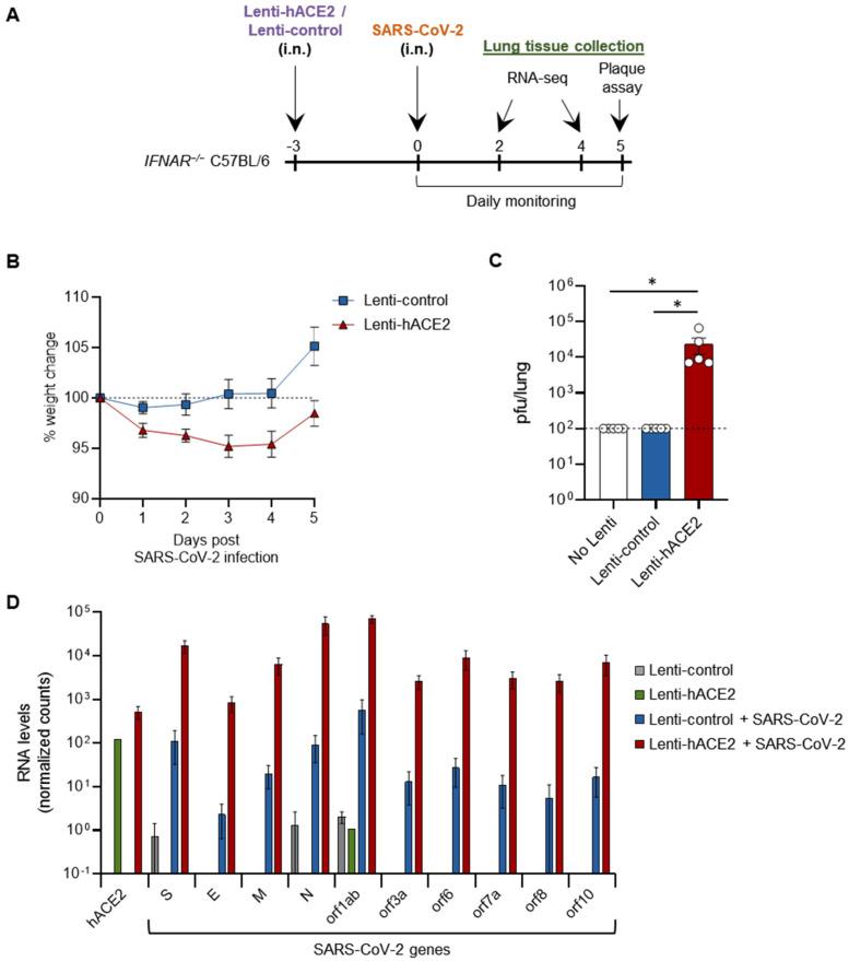 https://cdn.ncbi.nlm.nih.gov/pmc/blobs/babd/8778683/2b0c8aef3106/viruses-14-00011-g002.jpg