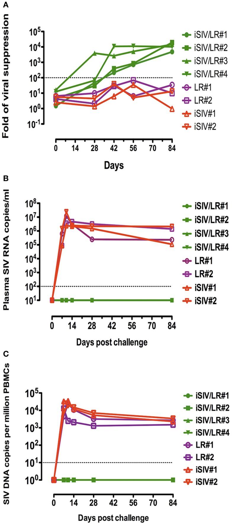 https://cdn.ncbi.nlm.nih.gov/pmc/blobs/babe/4074992/97201ccbd1ce/fimmu-05-00297-g004.jpg