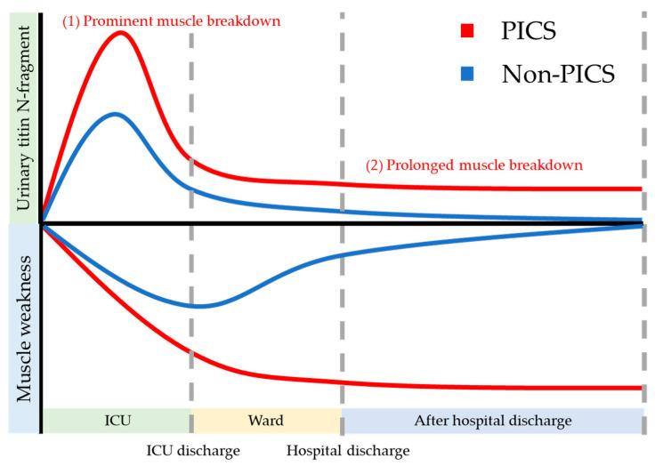 https://cdn.ncbi.nlm.nih.gov/pmc/blobs/babf/7915692/163fb855d3ba/jcm-10-00614-g002.jpg