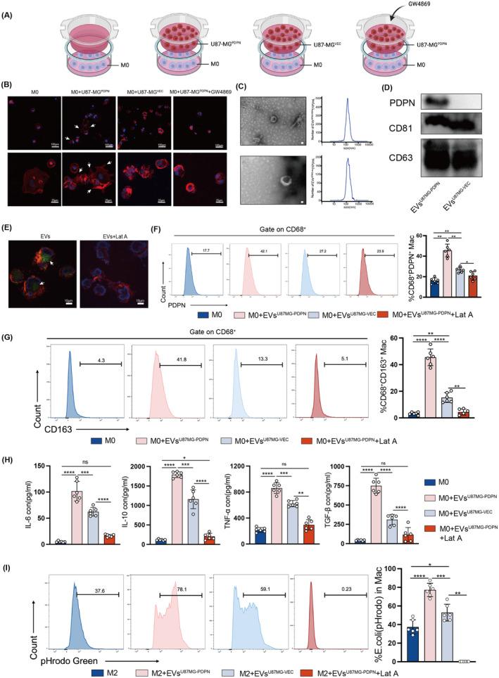 https://cdn.ncbi.nlm.nih.gov/pmc/blobs/bac3/10929222/5625c2f7f59a/CNS-30-e14643-g004.jpg