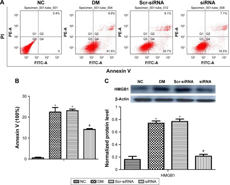 https://cdn.ncbi.nlm.nih.gov/pmc/blobs/bac3/5359008/f83c9eac66d7/dddt-11-783Fig5.jpg