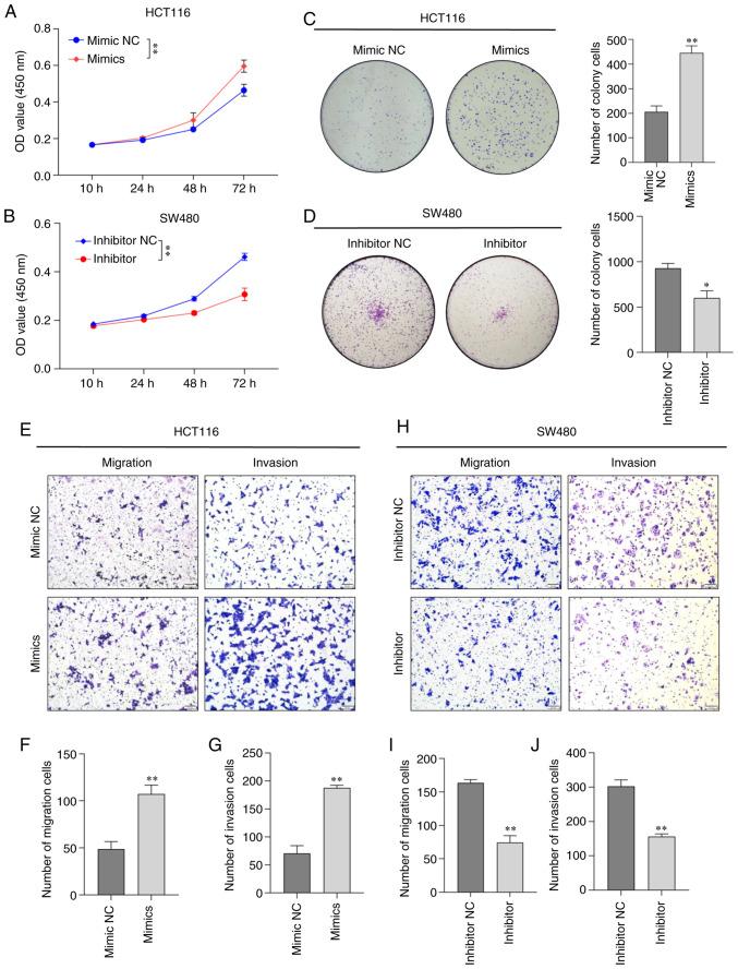 https://cdn.ncbi.nlm.nih.gov/pmc/blobs/bac4/9887461/95f3b97ab5f9/or-49-03-08487-g01.jpg